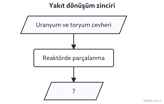 Coğrafya — Ekonomik Faaliyetler ve Etkileri ünitesi: Akkuyu tesisi için hazırlanan yakıt-dönüşüm şemasında boş bırakılan (?) kutu hangi enerji üreti