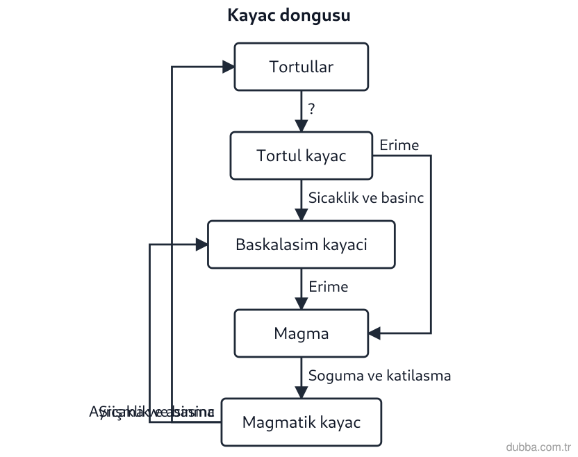 Coğrafya — Doğal Sistemler ve Süreçler ünitesi: Zonguldak kömür sahasında tortul süreçlerin izlendiği akış şemasında boş bırakılan “?” adımı ha