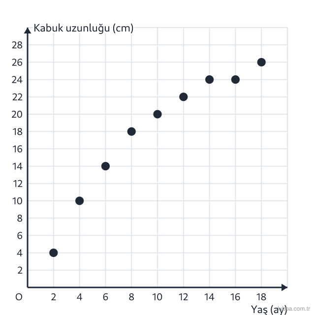 Matematik — İstatistiksel Araştırma Süreci ünitesi: Aşağıdaki serpme grafiğinde bir kaplumbağanın yaşı (ay) ile kabuk uzunluğu (cm) verilmiştir. No