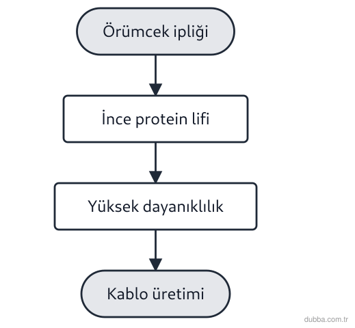 Fizik — Fizik Bilimi ve Kariyer Keşfi ünitesi: Şemadaki süreç, örümcek ipliğinin ince ve dayanıklı olmasından esinlenerek hafif kablo üretimi 