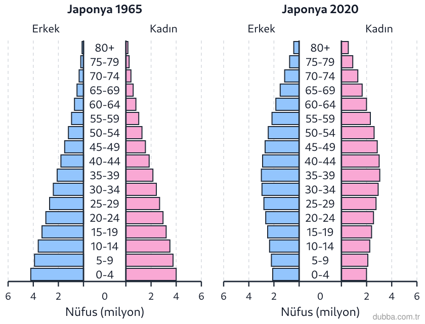 Coğrafya — Beşerî Sistemler ve Süreçler ünitesi: Aşağıdaki piramitler, 1965 ve 2020 yıllarında Japonya’ya aittir. Grafiklerden hareketle hangisi