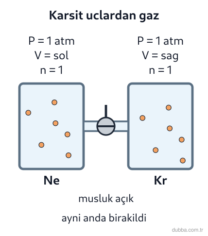 Kimya — Etkileşim ünitesi: Şekildeki düzenekte Ne (20 g/mol) ve Kr (80 g/mol) gazları cam borunun karşıt uçlarından aynı a