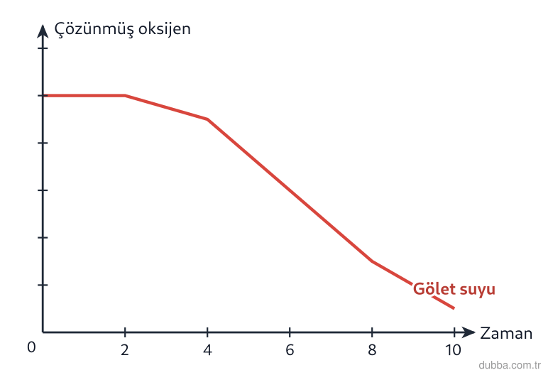 Biyoloji — Ekoloji ünitesi: Grafikteki eğriye göre işaretli t1’den sonra çözünmüş oksijenin düşmesi, bir gölette ötrofikasy