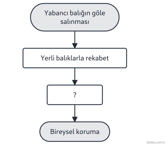Biyoloji — Organizasyon ünitesi: Aşağıdaki akış şemasında “?” kutusuna yazılması gereken ekolojik sonuç ile buna uygun bireysel 