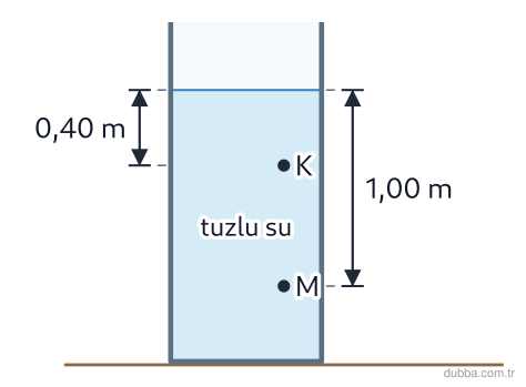Fizik — Akışkanlar ünitesi: Durgun tuzlu su (yoğunluk 1200 kg/m³) açık silindirik bir kaba konulmuştur. Serbest yüzeye göre