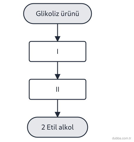 Biyoloji — Enerji ünitesi: Bira mayasında glikoliz ürünlerinin izlediği yolda piruvattan sonraki ilk basamak (I) değerlend