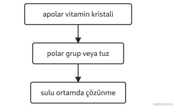 Kimya — Çeşitlilik ünitesi: Akış şemasındaki dönüşüm, suda çok az çözünen bir vitamin türevinin emilimini artırmayı amaçlam