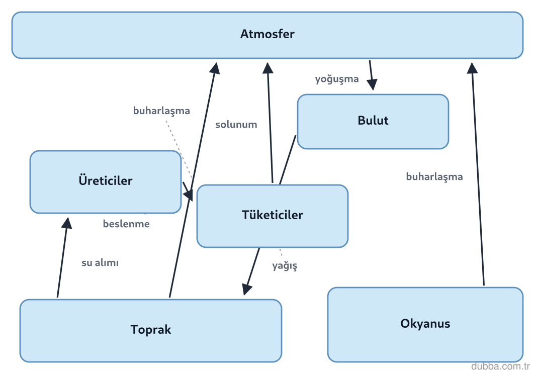 Biyoloji — Ekoloji ünitesi: Şemadaki su döngüsü basamakları dikkate alındığında hangisi doğru bir çıkarım değildir?