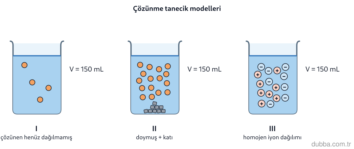 Kimya — Çeşitlilik ünitesi: I, II ve III kaplarındaki tanecik modelleri, bir iyonik katının suda çözünmesine ilişkin üç ayr