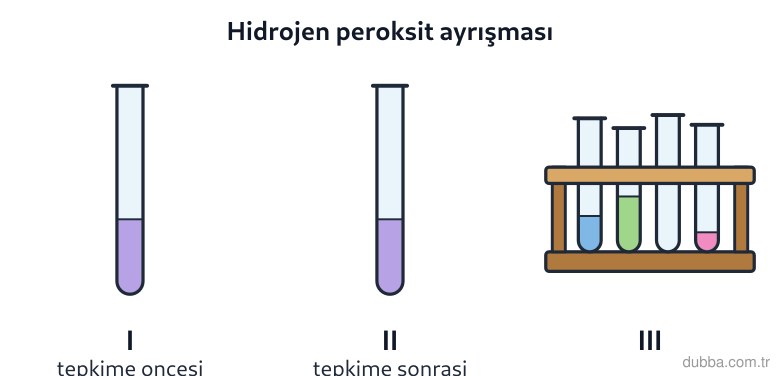 Kimya — Etkileşim ünitesi: Hidrojen peroksit (H2O2) MnO2 katalizörü varlığında H2O ve O2'ye ayrışmaktadır. Şekildeki I tüp