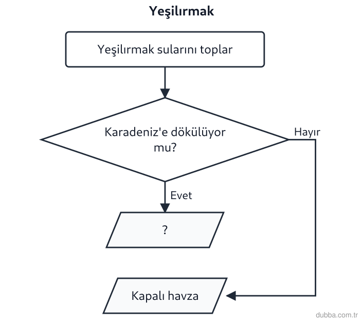 Coğrafya — Doğal Sistemler ve Süreçler ünitesi: Karadeniz'e dökülen Yeşilırmak'ın havza türü şemada “?” olarak boş bırakılmıştır. “?” yerine ya
