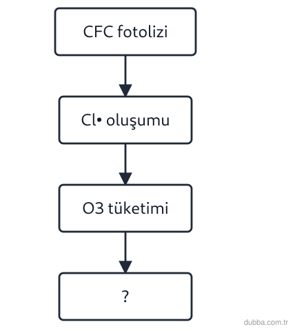 Kimya — Sürdürülebilirlik ünitesi: CFC fotoliziyle oluşan klor radikalinin ozon tabakasındaki nitel izlediği yol hangisidir?