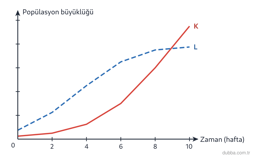 Biyoloji — Ekoloji ünitesi: Açık bir göldeki fitoplankton ile kapalı bir akvaryumdaki balık popülasyonunun zamanla değişen