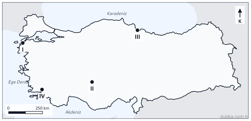 Coğrafya — Doğal Sistemler ve Süreçler ünitesi: Aşağıdaki haritada işaretli I–IV noktalarından hangisi, geniş delta ovasında tarımın öne çıktığ