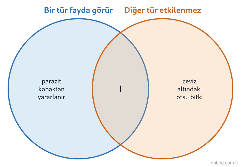 Biyoloji — Ekoloji ünitesi: Şemadaki I numaralı bölge hangi simbiyotik ilişki çeşidine karşılık gelir?