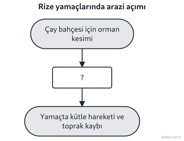 Coğrafya — Doğal Sistemler ve Süreçler ünitesi: Rize’de çay bahçesi açmak için yamaç ormanlarının kesilmesini gösteren akış şemasında “?” basam
