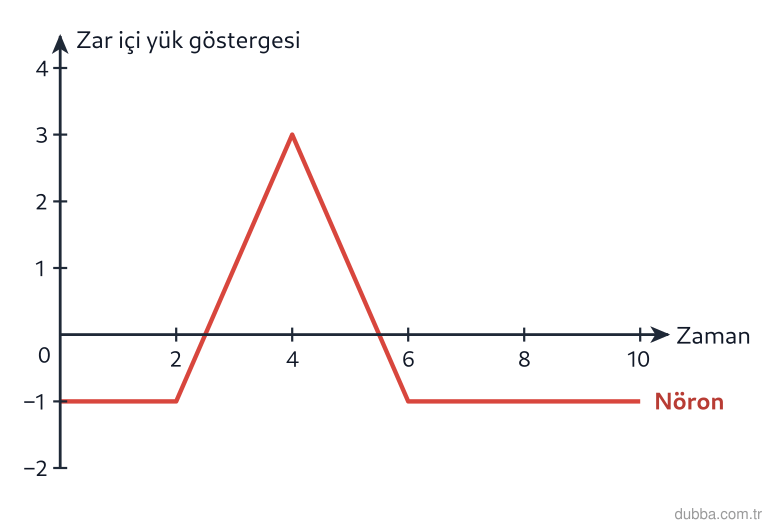 Biyoloji — Tepki ünitesi: Grafik, bir nöronun zarı boyunca uyartı iletimi sırasında zarın iç kısmındaki yük göstergesini 