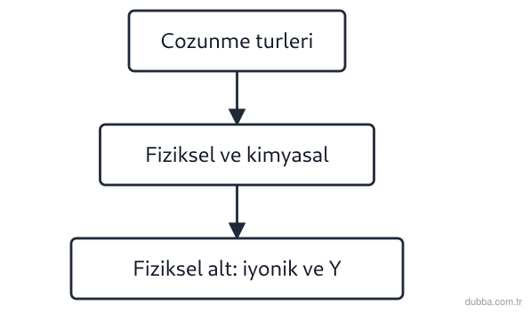 Kimya — Çeşitlilik ünitesi: Şemada Y kutusu, şeker gibi kovalent moleküllerin suda iyonlaşmadan dağılmasını gösterir. Y ned
