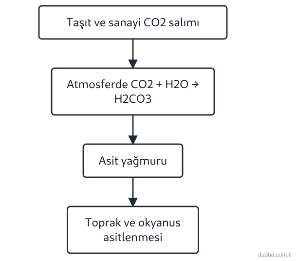 Kimya — Etkileşim ünitesi: Bir araç egzozundan çıkan CO2 gazının çevresel dönüşümlerini özetleyen akış şeması aşağıda veri