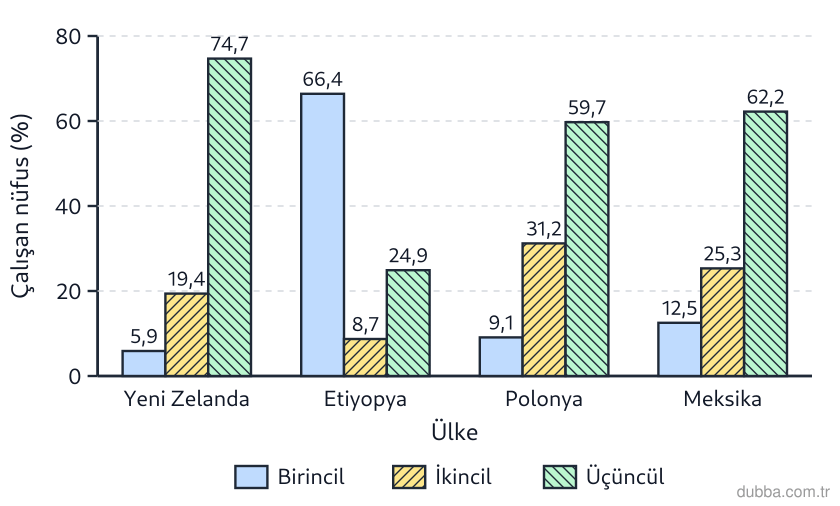 Coğrafya — Ekonomik Faaliyetler ve Etkileri ünitesi: Yeni Zelanda, Etiyopya, Polonya ve Meksika için 2023 çalışan nüfus grafiği incelendiğinde hangi