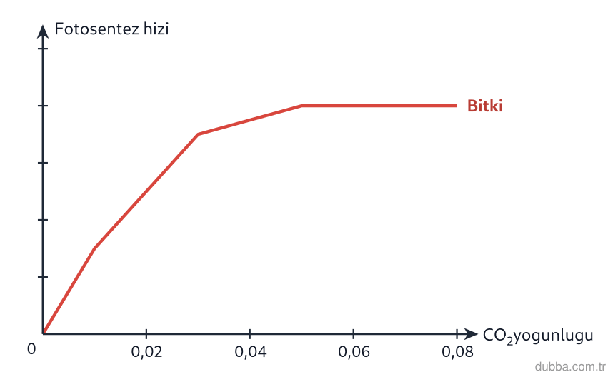 Biyoloji — Enerji ünitesi: Grafikteki eğriye göre atmosferdeki yaklaşık %0,03 CO2 düzeyinden sonra yoğunluk artırılsa bile