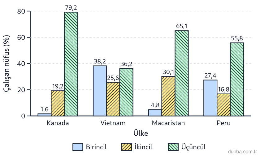 Coğrafya — Ekonomik Faaliyetler ve Etkileri ünitesi: Kanada, Vietnam, Macaristan ve Peru’nun 2022 istihdam yapısını gösteren grafiğe göre aşağıdaki 
