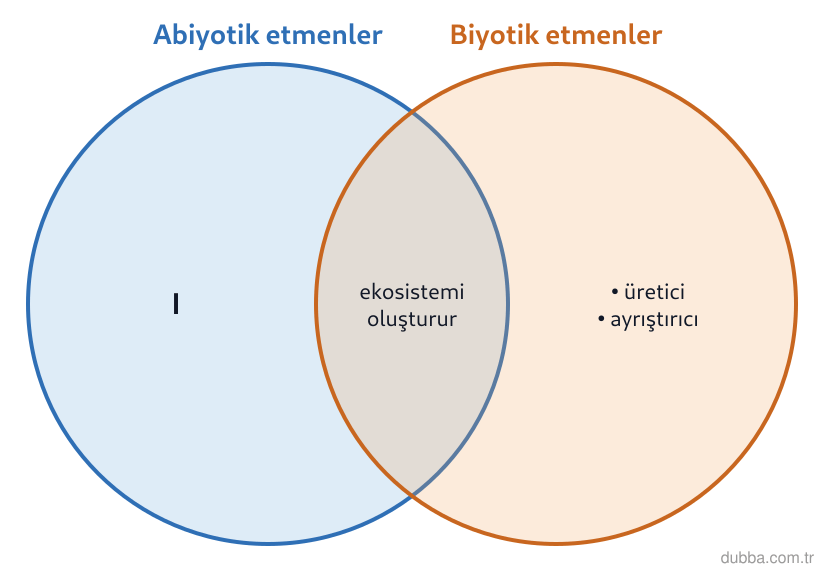 Biyoloji — Ekoloji ünitesi: Göl ekosistemine ait şemada I numaralı bölge yalnızca abiyotik etmenleri temsil eder. Bu bölgey