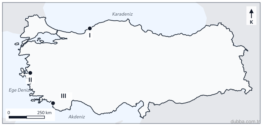 Coğrafya — Beşerî Sistemler ve Süreçler ünitesi: Aşağıdaki haritada I, II ve III numaralarıyla gösterilen kentlerden hangisi il yönetim merkezi 