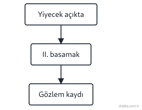 Kimya — Etkileşim ünitesi: Akış şeması açıkta bırakılan yiyeceğin çürümesini özetler. II. basamaktaki koku ve görünüm deği