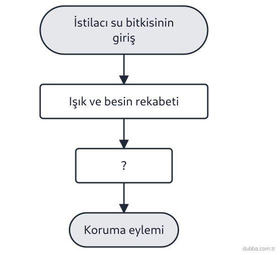 Biyoloji — Organizasyon ünitesi: Şemadaki “?” basamağı için doğru sonuç–eylem eşleşmesi hangisidir?