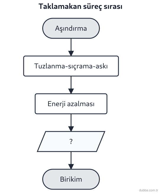 Coğrafya — Doğal Sistemler ve Süreçler ünitesi: Taklamakan çölü istasyonundaki süreç diyagramında “?” adımı, taşınan malzemenin durduğu birikim