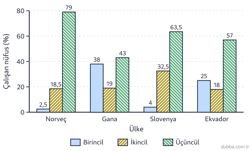 Coğrafya — Ekonomik Faaliyetler ve Etkileri ünitesi: Norveç, Gana, Slovenya ve Ekvador’un 2019 çalışan nüfus dağılımını veren grafiğe göre aşağıdaki