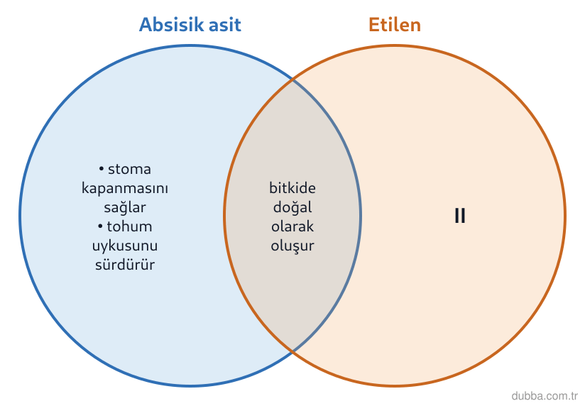 Biyoloji — Tepki ünitesi: Kurak bir elma bahçesinde absisik asit ile etilenin etkileri şemadaki gibi gruplanmıştır. II il
