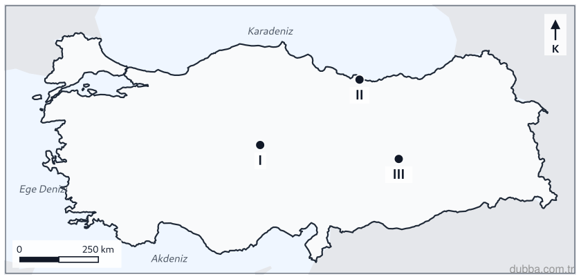 Coğrafya — Afetler ve Sürdürülebilir Çevre ünitesi: Haritadaki I, II ve III noktaları hem diri faylara yakınlık hem de yerleşme sıklığı bakımından 