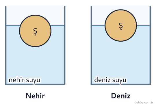 Fizik — Akışkanlar ünitesi: Yüzen bir şamandıra aynı kütleyle nehirden açık denize taşınıyor (g yaklaşık aynı). Şekle göre 
