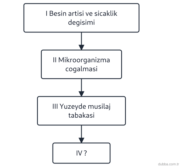 Kimya — Sürdürülebilirlik ünitesi: Akış şemasındaki süreç müsilaj oluşumunu göstermektedir. IV. adımda yer alması gereken sonuç ha