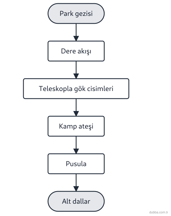 Fizik — Fizik Bilimi ve Kariyer Keşfi ünitesi: Şemadaki gözlemler sırasıyla mekanik, optik, termodinamik ve elektromanyetizma ile ilişkilidir.