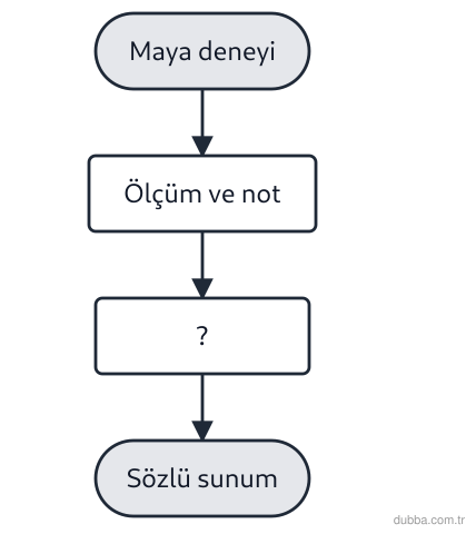 Biyoloji — Yaşam ünitesi: Aşağıdaki akışta “?” adımından sonra sözlü sunuma geçilmektedir. Bu süreçte I, II ve III’ten ha