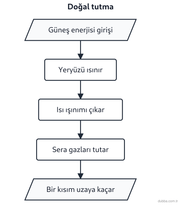 Coğrafya — Doğal Sistemler ve Süreçler ünitesi: Amazon havzasındaki orman yangınlarının sera gazı salımını artırdığı bir dönemde, aşağıdaki şem