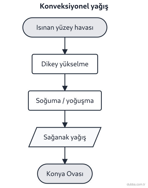 Coğrafya — Doğal Sistemler ve Süreçler ünitesi: Konya Ovası’nda yaz öğleden sonraları görülen konveksiyonel yağışın oluşumunda hangileri zorunl