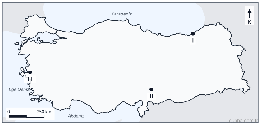Coğrafya — Afetler ve Sürdürülebilir Çevre ünitesi: Haritada I, II ve III numaralı alanların coğrafi konumları dikkate alındığında, bu alanlara öne