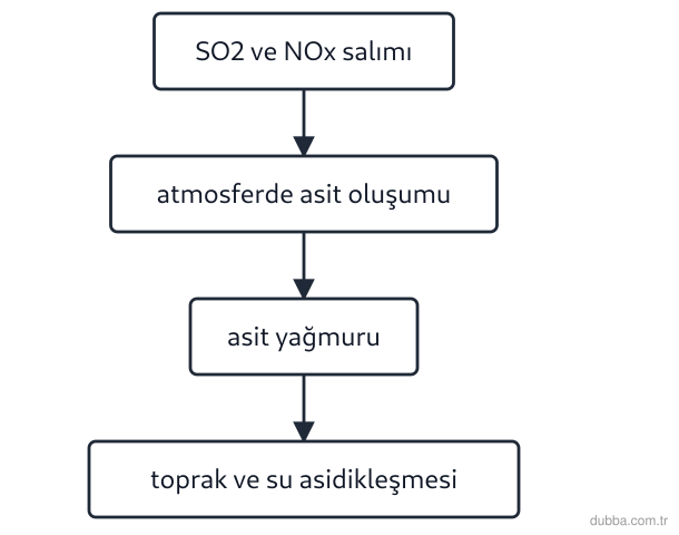 Kimya — Sürdürülebilirlik ünitesi: Akış şemasındaki süreç tamamlandığında ekosistemde gözlenen değişimlerden hangisi yanlıştır?