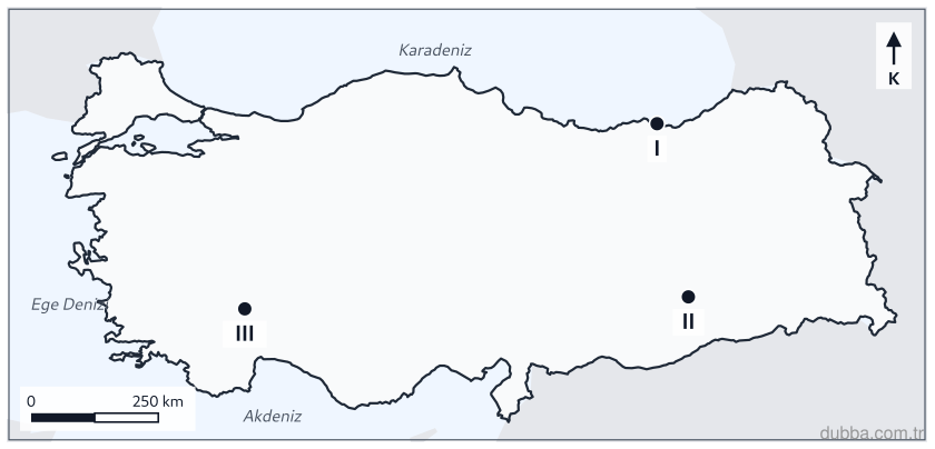 Coğrafya — Beşerî Sistemler ve Süreçler ünitesi: Trabzon, Diyarbakır ve Burdur illeri haritada sırasıyla I, II ve III ile işaretlenmiştir. Bu ye
