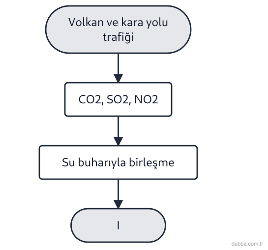 Biyoloji — Ekoloji ünitesi: Volkan gazları ve yoğun trafik emisyonlarının gösterildiği şemada I basamağındaki asit damlacık