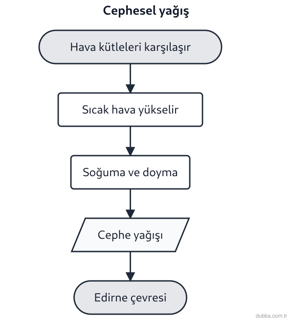 Coğrafya — Doğal Sistemler ve Süreçler ünitesi: Edirne çevresinde cephesel yağışın oluşabilmesi için aşağıdakilerden hangileri gereklidir? I. F
