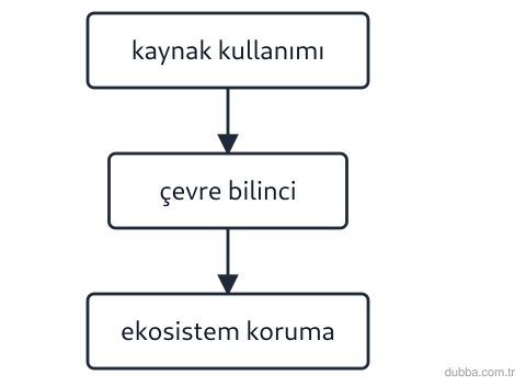 Kimya — Sürdürülebilirlik ünitesi: Akıştaki I→II→III sürecine göre sürdürülebilirlik için hangisi yanlıştır?