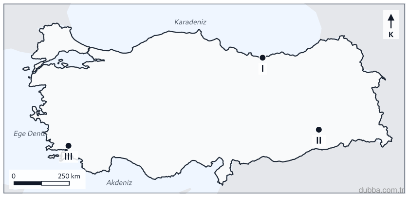 Coğrafya — Beşerî Sistemler ve Süreçler ünitesi: Haritada I, II ve III numaralı yerleşmeler ve çevresindeki köy altı yerleşmelerle ilgili hangis