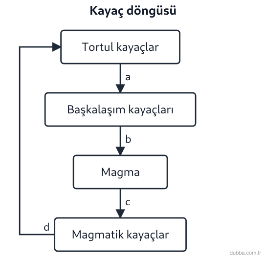 Coğrafya — Doğal Sistemler ve Süreçler ünitesi: Zonguldak’ta kömür damarlarını inceleyen öğrenciler, şemadaki a ve b oklarının tortul kayacın ö
