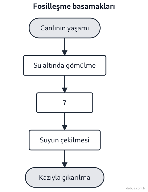 Coğrafya — Doğal Sistemler ve Süreçler ünitesi: Çankırı tuzlaları çevresindeki paleontoloji kazısında kullanılan fosilleşme akışında soru işare