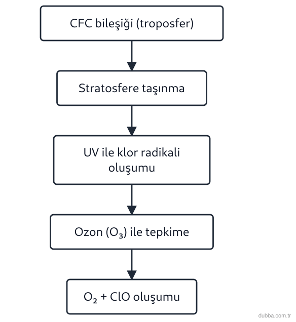Kimya — Sürdürülebilirlik ünitesi: Aşağıdaki akış şeması, bir CFC bileşiğinin atmosferdeki dönüşüm sürecini göstermektedir. Bu sür